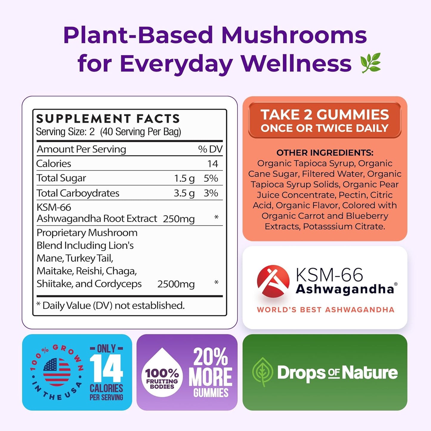 Mushroom Gummies